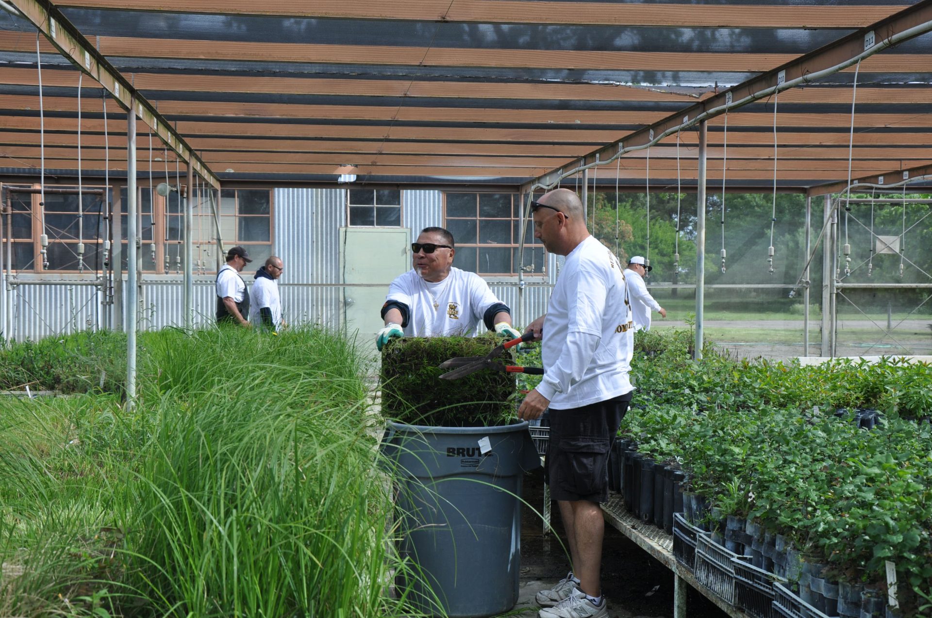 Image from the Gallery: IUPAT Day of Action – Northern californuia