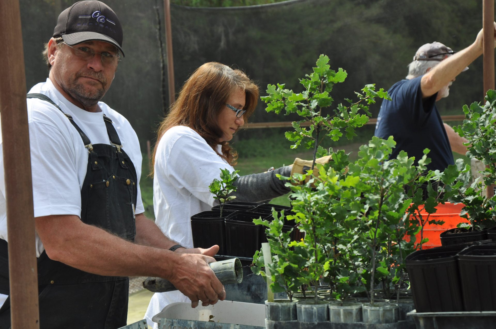 Image from the Gallery: IUPAT Day of Action