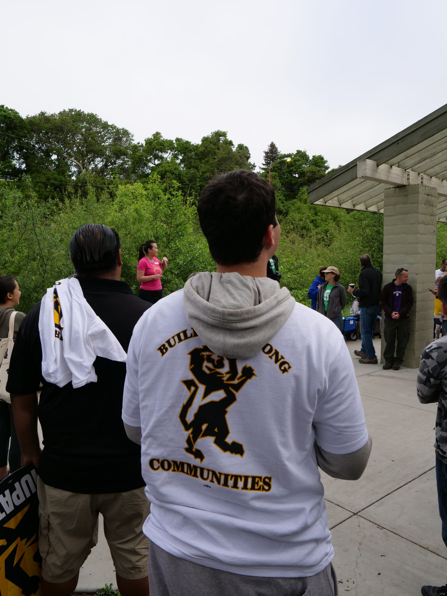 Image from the Gallery: IUPAT Day of Action