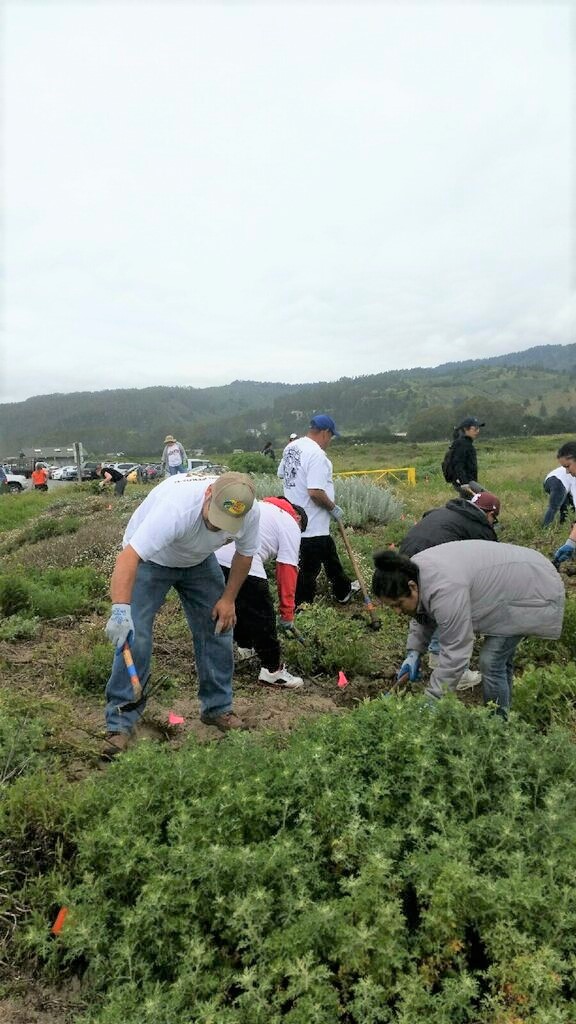 Image from the Gallery: IUPAT Day of Action – Northern californuia