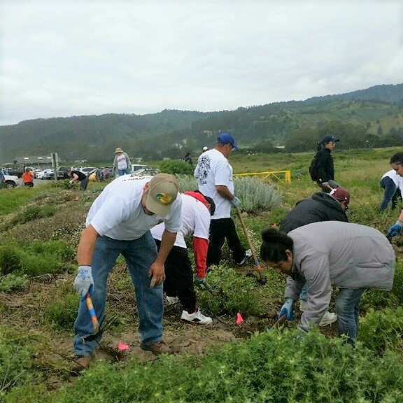 Image from the Gallery: IUPAT Day of Action – Northern californuia